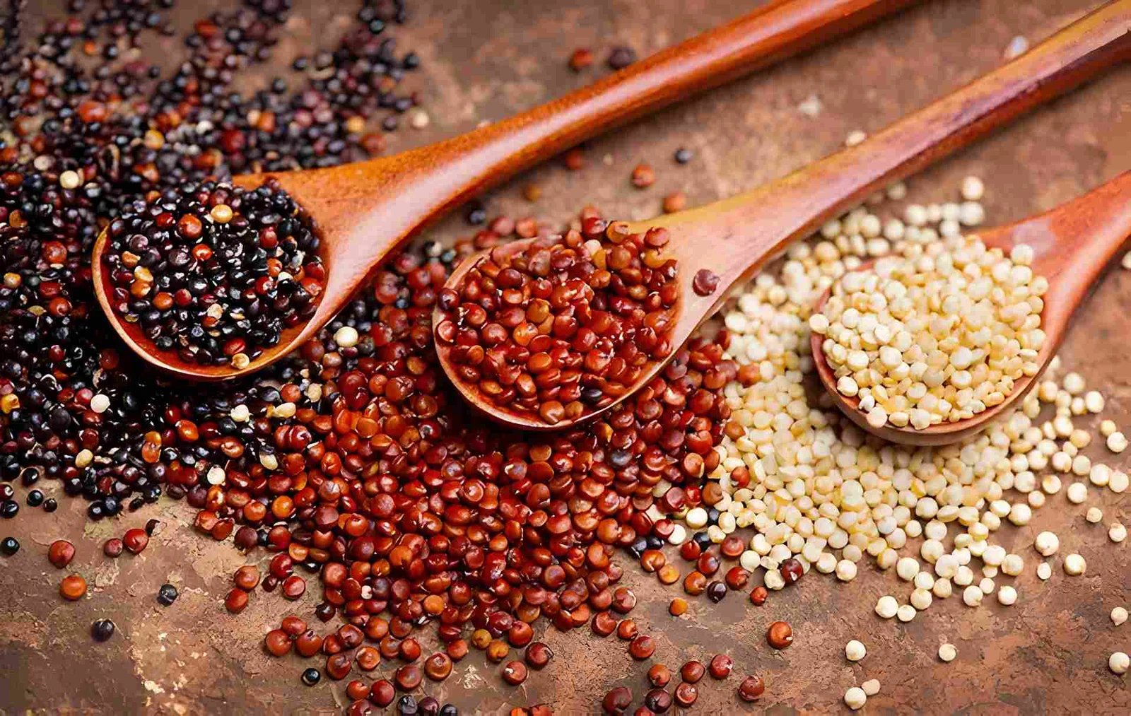 Quinoa fields stretching toward Indian mountains