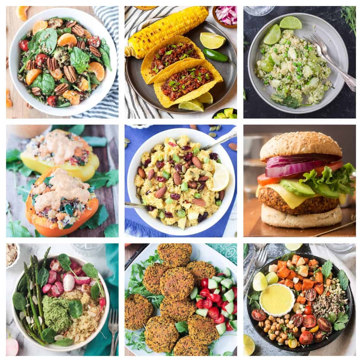 Quinoa Recipes
