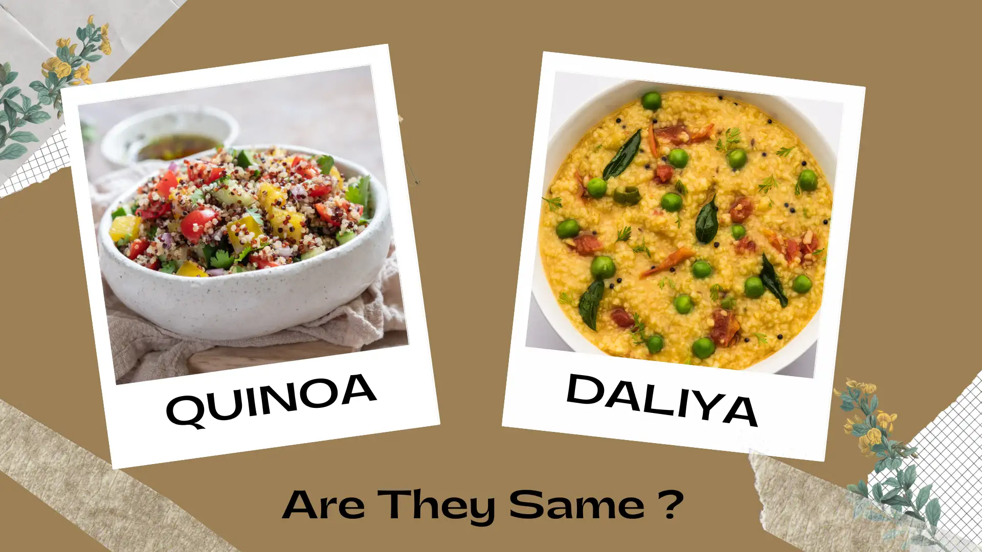 Are Quinoa and Dalia the same?
